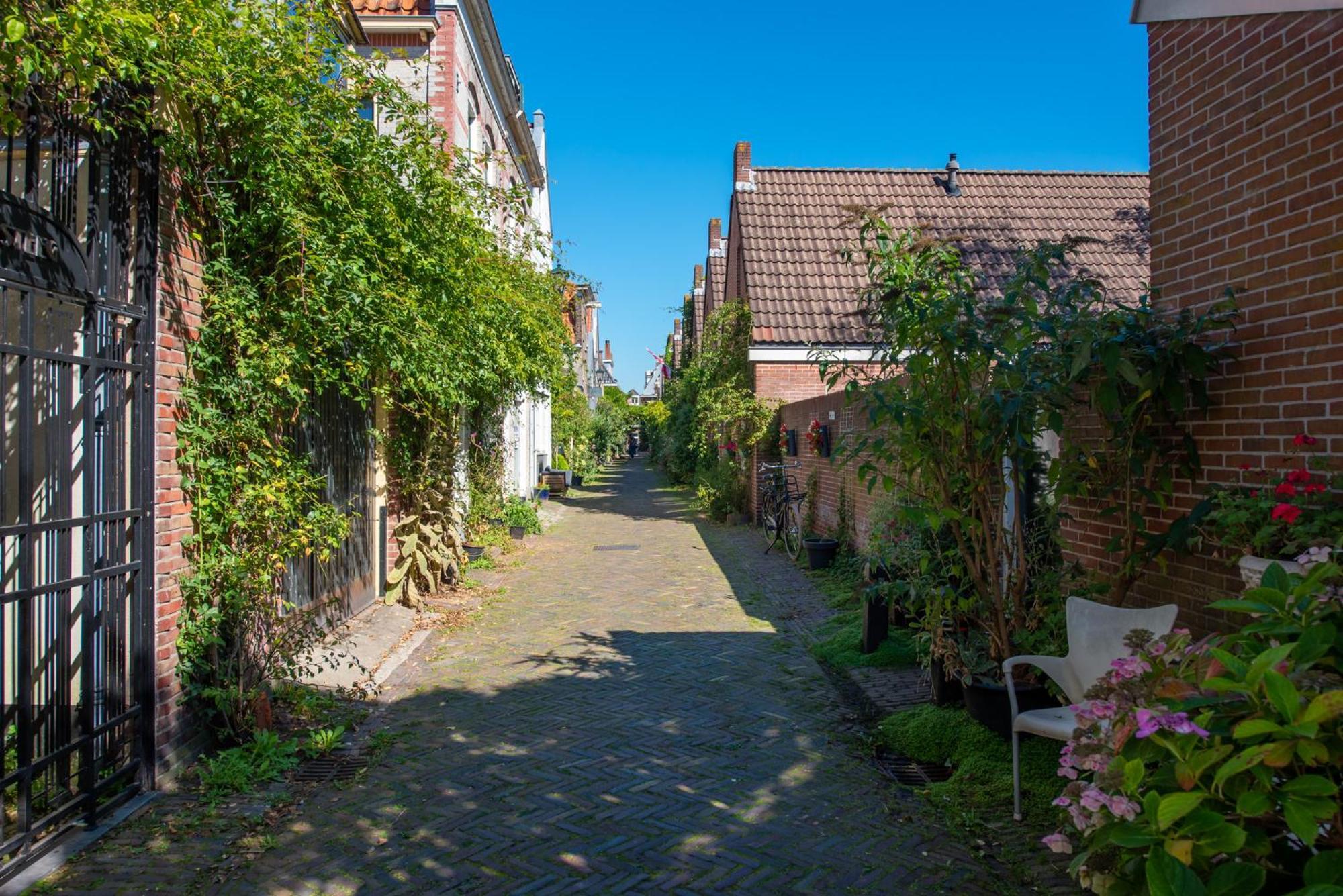 Gezellig Appartement In De Mooie Oude Binnenstad Van Alkmaar Exterior foto